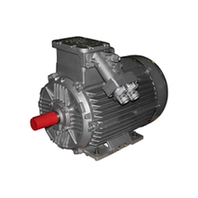 Электродвигатель рудничный ВРА 200L8 (22 кВт 750 об/мин)