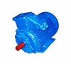 Электродвигатель рудничный ВРА 132 М6 (7.5 кВт 1000 об/мин)