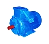 Электродвигатель рудничный ВРА 250М2 (90 кВт 3000 об/мин)