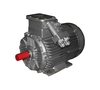 Электродвигатель рудничный ВРА 250S8 (37 кВт 750 об/мин)