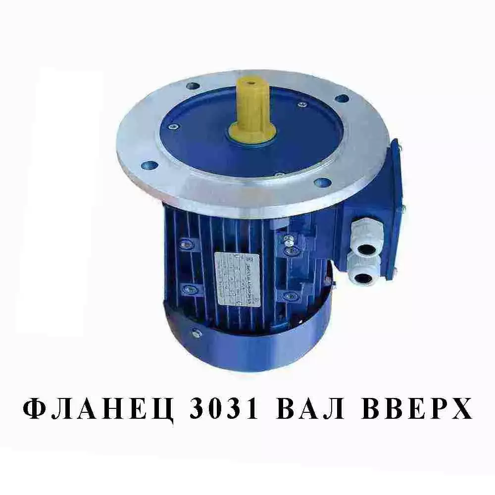 АИР355L8 250 кВт 750 об/мин