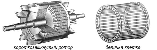 схема ротор беличья клетка